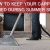 How To Keep Your Carpets Cleaned During Summer Season