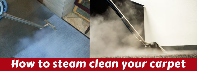 How to steam clean your carpet Melbourne