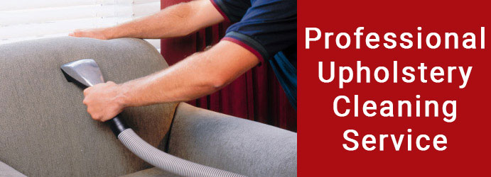 Professional Upholstery Cleaning Service