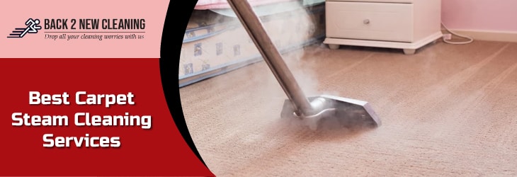 Carpet Steam Cleaning Services