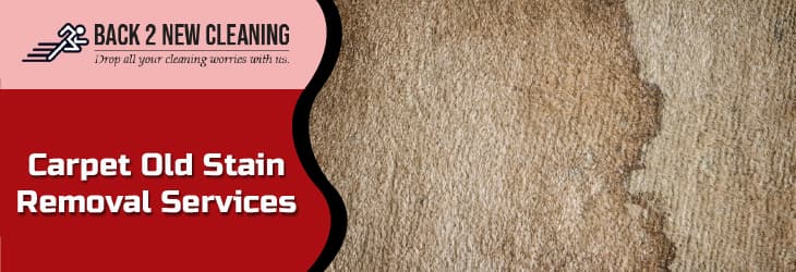 HOW TO GET RID OF OLD STAINS ON THE CARPET