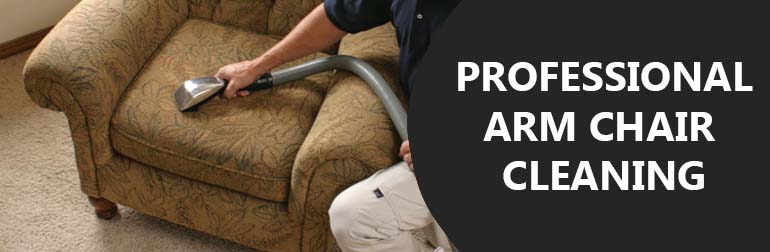 PROFESSIONAL ARM CHAIR CLEANING