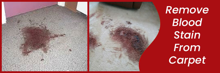 Remove Blood Stain From Carpet