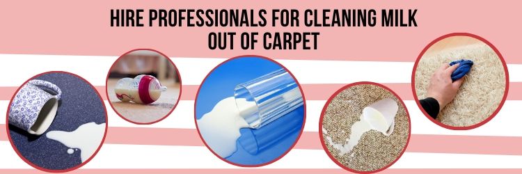 Hire Professionals Carpet Cleaners
