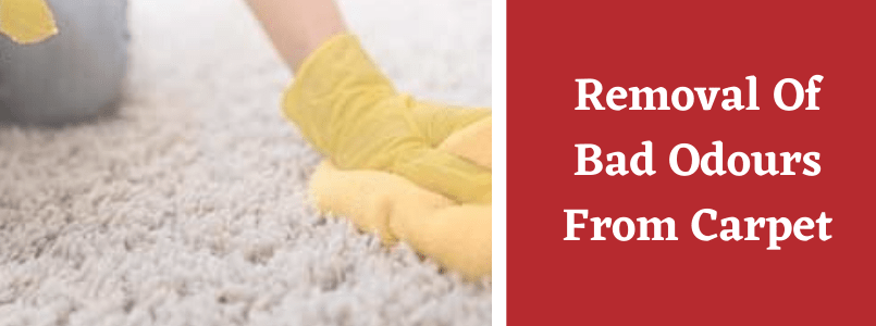 Removal Of Bad Odours From Carpet