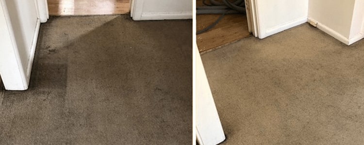 Best Carpet Cleaning Services in Brisbane