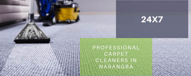 Professional Carpet Cleaners in Narangba