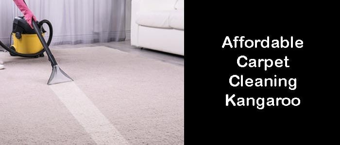 Affordable Carpet Cleaners Kangaroo Point