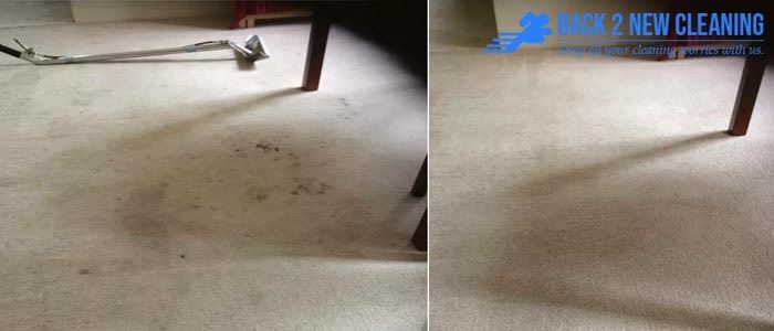 Experts Carpet Cleaning Teneriffe