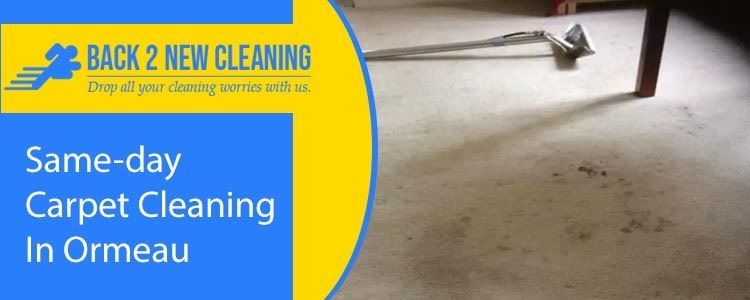 Same Day Carpet Cleaning In Ormeau