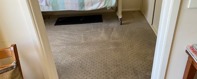 Natural Carpet Cleaning Solution