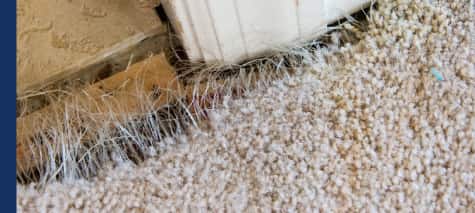 best carpet repair brisbane