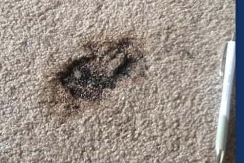 carpet burn repair services in brisbane
