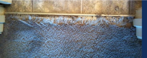 emergency carpet repair brisbane